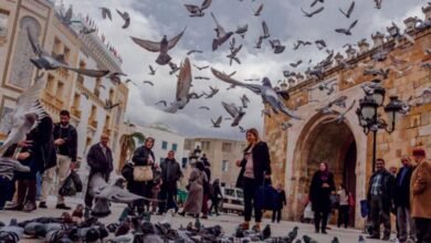 صورة المقدَّسُ والحُرّيّة: هَلْ منْ تَعَاْرُض؟