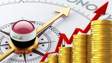 صورة الاقتصاد الديمقراطي والسلطوي: كيف تعمل الديمقراطية على زيادة التنمية؟