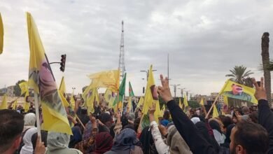 صورة مشاركة ممثلو حزب في المسيرة الجماهيرية تنديدا بالمؤامرة الدولية على القائد عبدالله أوجلان